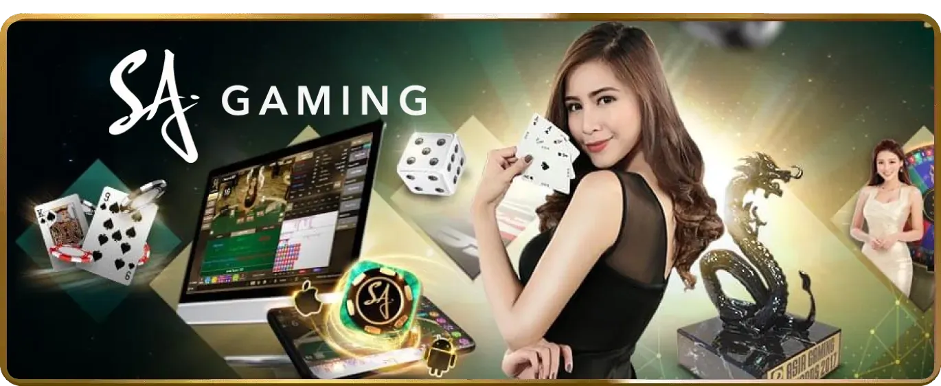 Hai chú gà trống đang đá nhau trong một đấu trường tại 999ok info