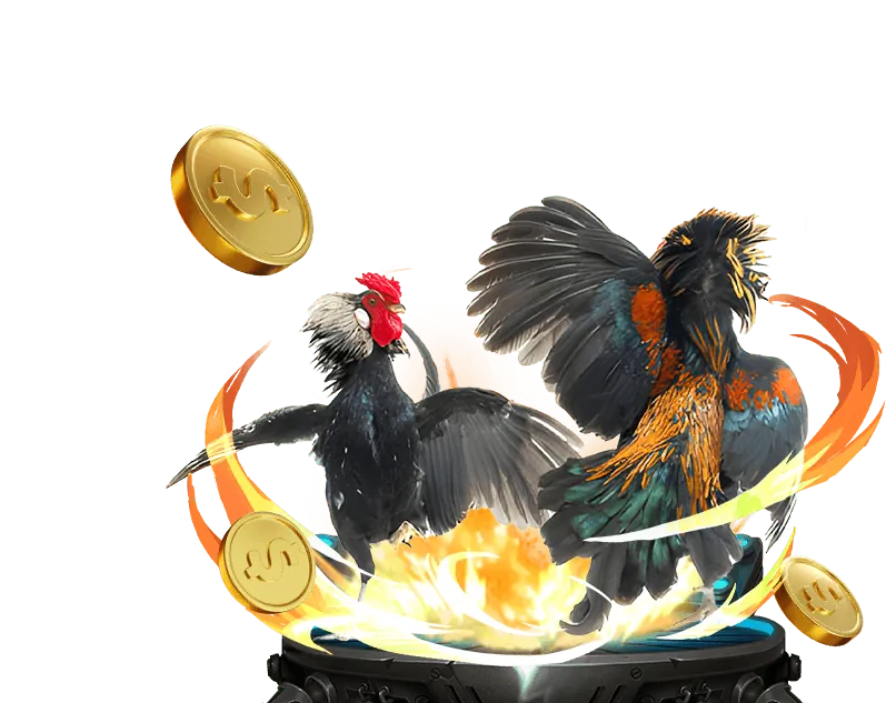Tổng quan về 999ok info Casino