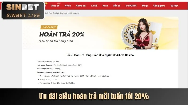 Hoàn trả hàng ngày 999ok info